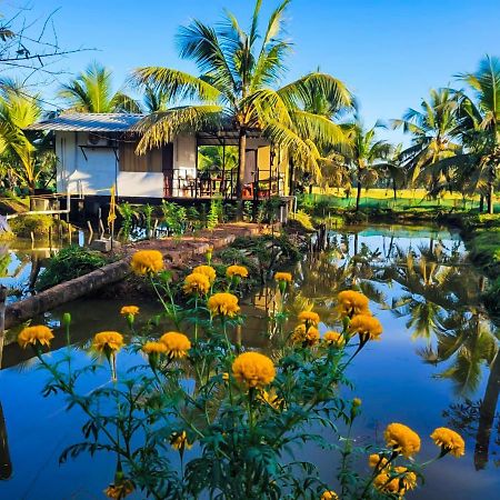 Thomman'S Farm Stay Kottayam Buitenkant foto
