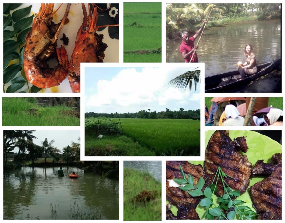 Thomman'S Farm Stay Kottayam Buitenkant foto