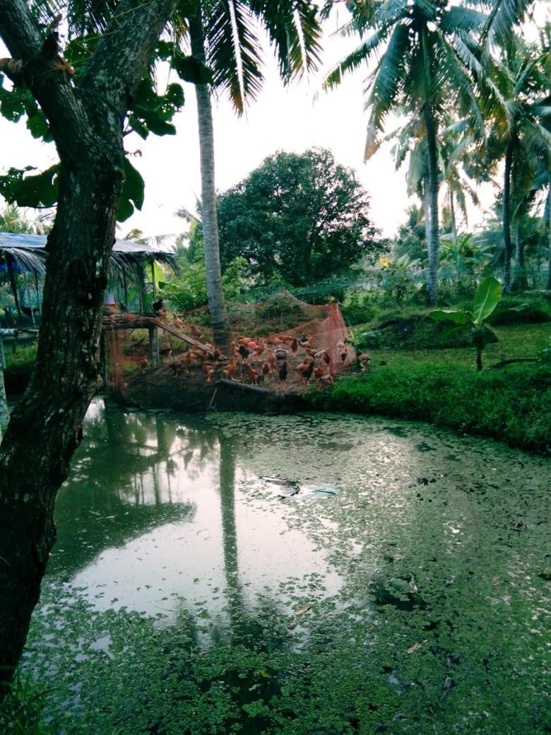 Thomman'S Farm Stay Kottayam Buitenkant foto