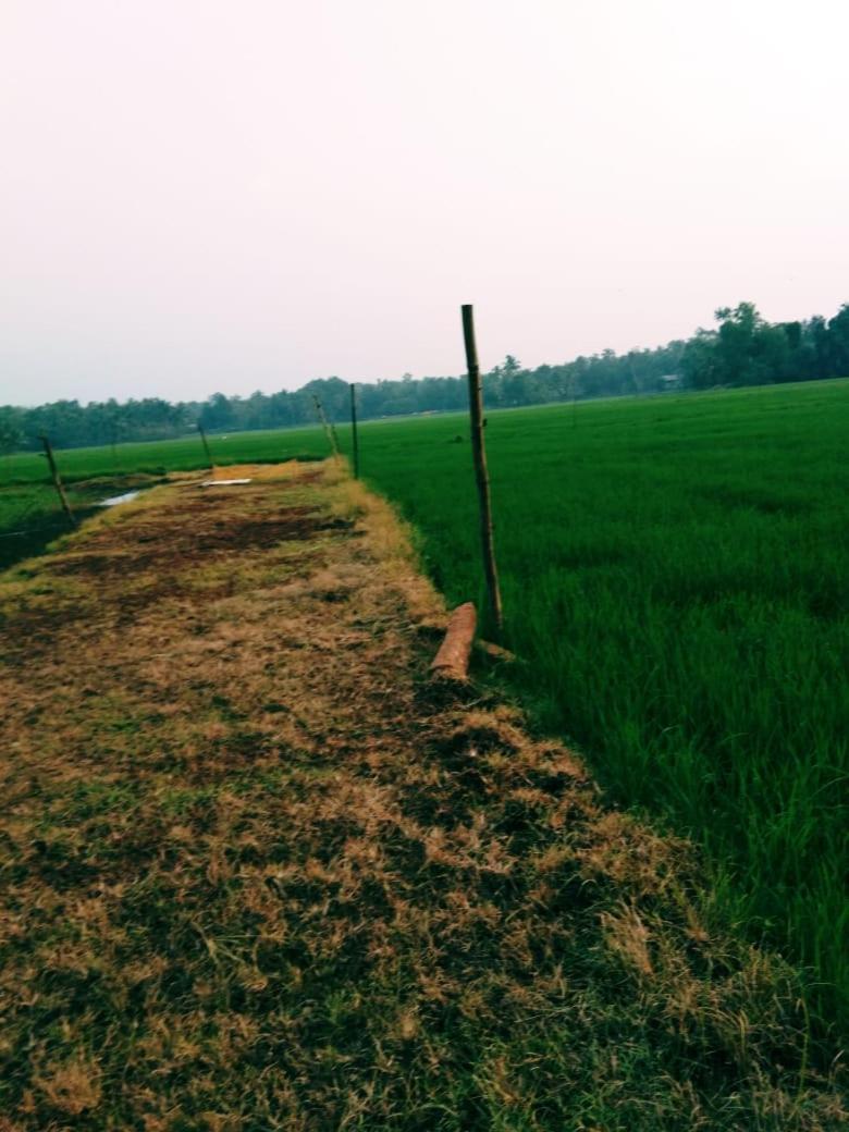 Thomman'S Farm Stay Kottayam Buitenkant foto