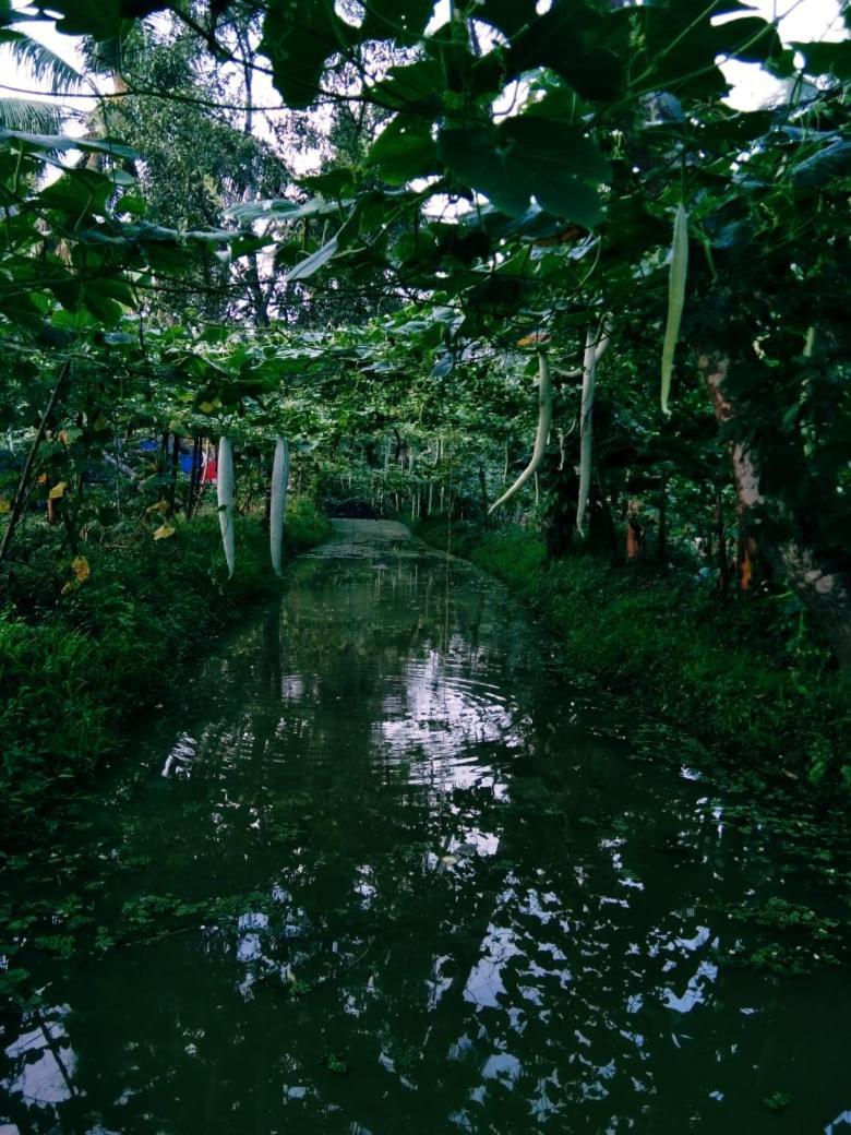 Thomman'S Farm Stay Kottayam Buitenkant foto