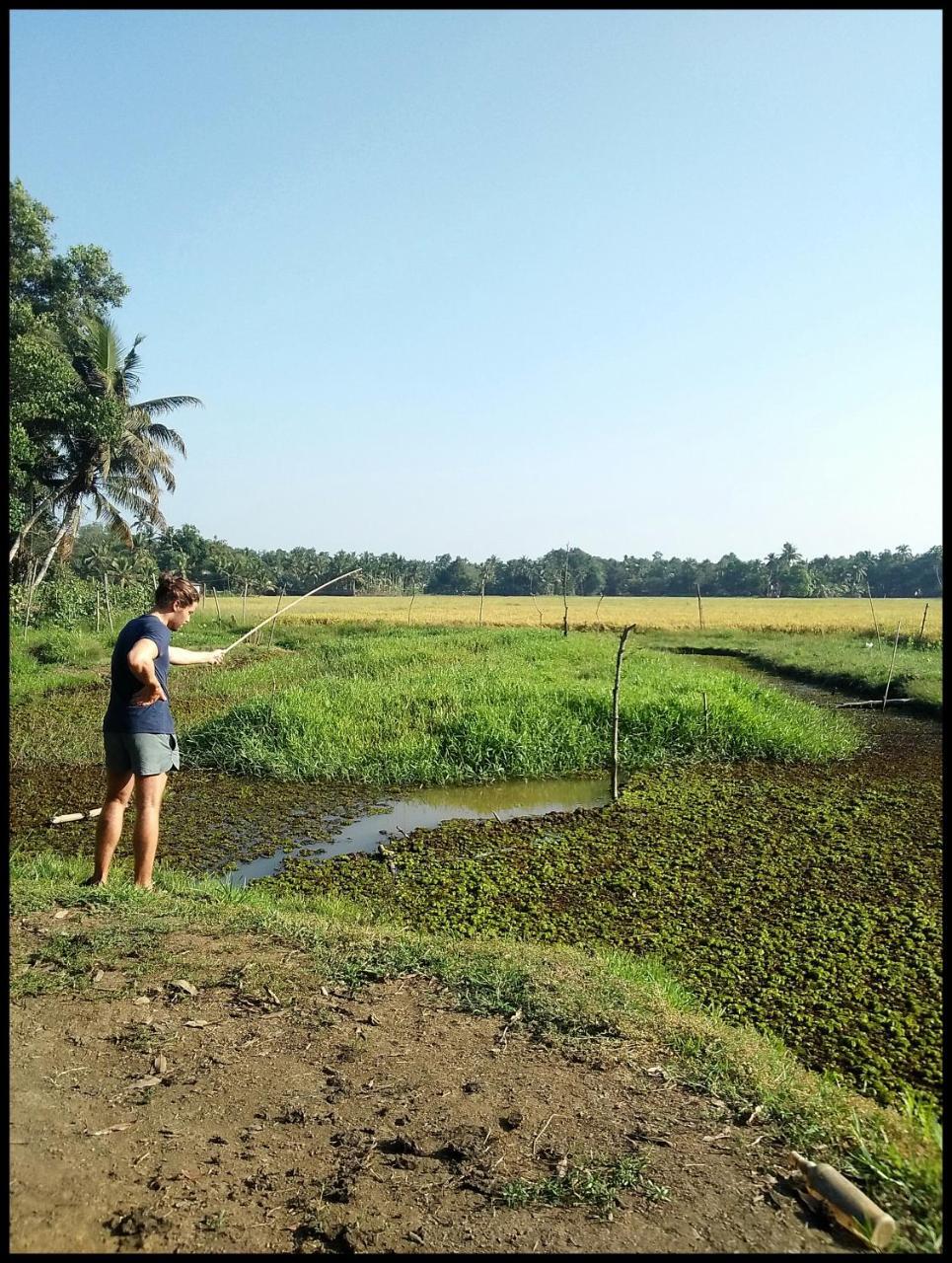 Thomman'S Farm Stay Kottayam Buitenkant foto