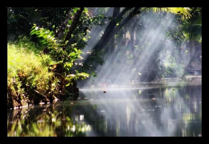 Thomman'S Farm Stay Kottayam Buitenkant foto