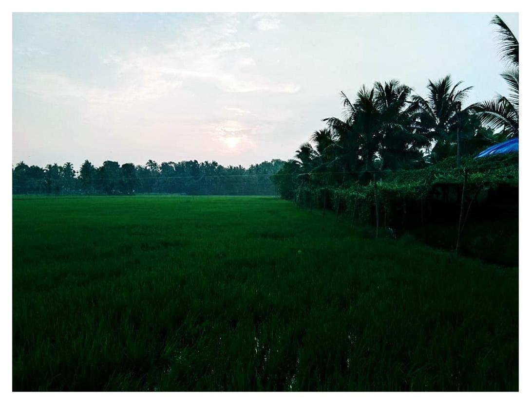 Thomman'S Farm Stay Kottayam Buitenkant foto