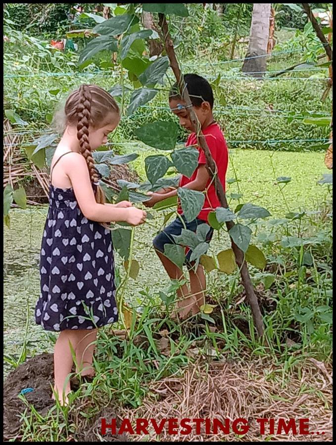 Thomman'S Farm Stay Kottayam Buitenkant foto