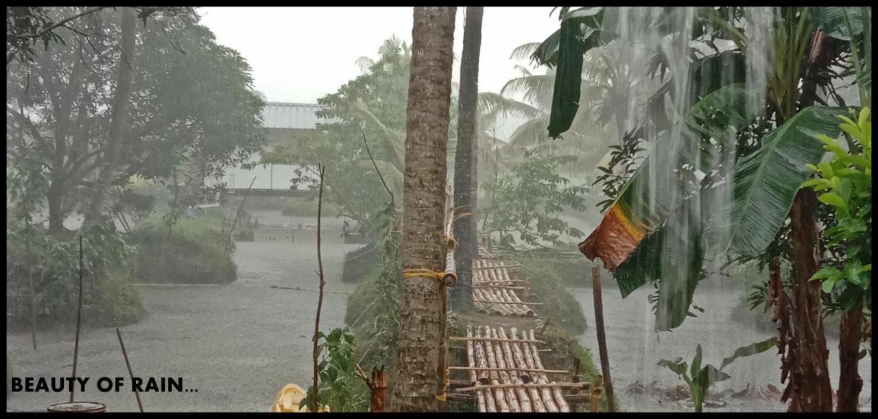 Thomman'S Farm Stay Kottayam Buitenkant foto